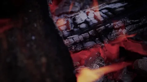 Logs burning on a fire Video stock 80131816