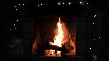 Logs burning in the fire place Stock Footage 85691708