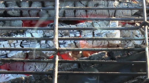 Logs burning out in the fire under grating close-up Stock-Footage 165558490