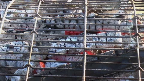Logs burning out in the fire under grating 動画素材 165558491