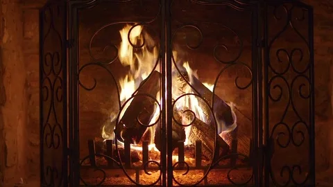 Logs Burning in Vintage Stone Fireplace with Decorative Screen and Grate Vídeo Stock 80832547