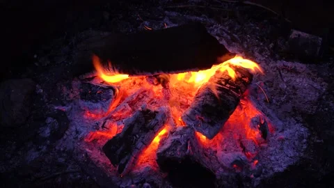 Logs on a campfire; dying down 623 Stock Footage 168097562