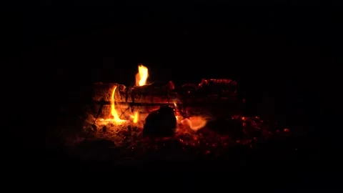 Logs on a campfire; dying down 628 Stock Footage 168098610