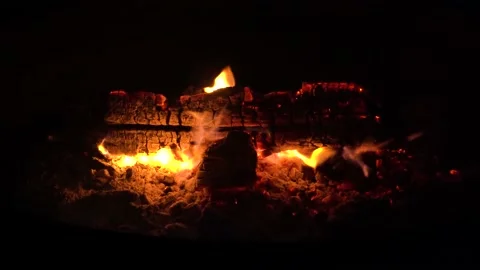Logs on a campfire; dying down Stock Footage 168091770