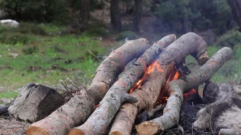 Logs on the Campfire Stock Footage 292160368