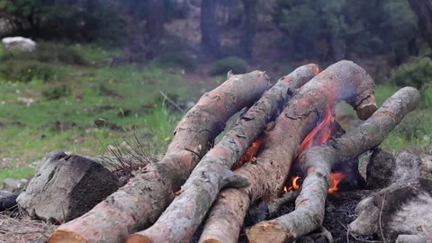 Logs on the Campfire (Slow Motion) Stockbeeldmateriaal 292160402