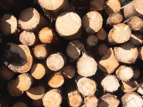 Logs close background and texture Foto stock