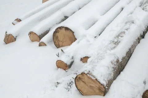 Logs Covered with Snow Stock Photos