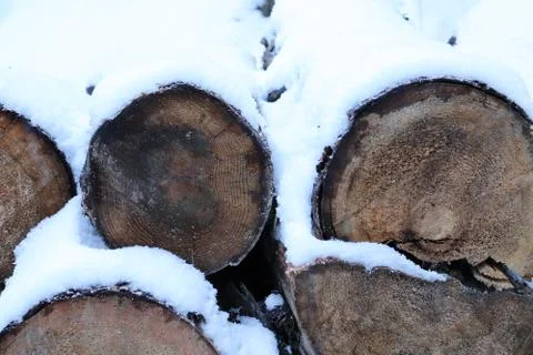 Logs covered by snow Stock Photos