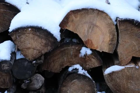 Logs covered by snow Stock Photos