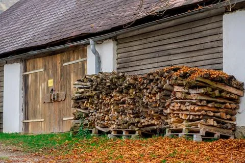 Logs from cut down trees prepared for the winter lie near the house Stock Photos