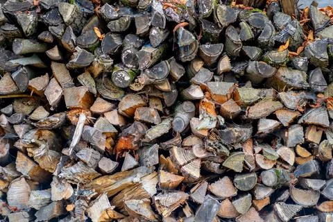 Logs from cut down trees prepared for the winter lie near the house 写真素材