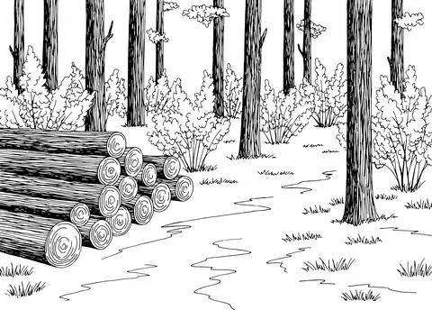 Logs cut in the forest graphic black white landscape sketch illustration vector Stock Illustration