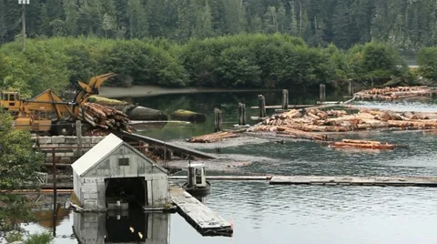 Logs Dumped in Water Sort, Vancouver Island Video stock 22998016