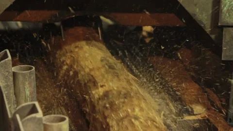 Logs Entering Cutter Saw Machine at Wood Mill 動画素材 172264226