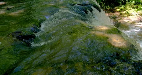 Logs float towards the waterfall on the flooded river Stock Footage 124807755