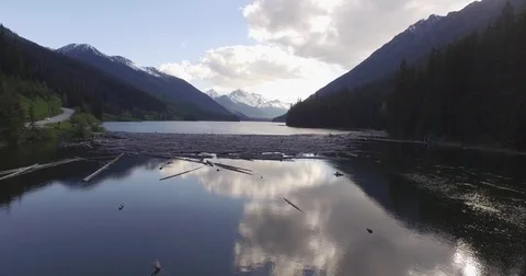 Logs floating in mountain Lake in British Columbia Stock Footage 75040432