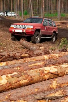 Logs in the forest are used for logging, construction of wood Stock Photos