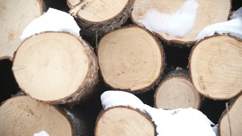 Logs in a forestry operation Stock Footage 114179803