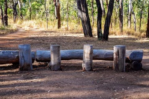 Logs Form Tables And Chairs For Bush Breakfast Stock Photos