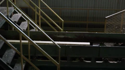 Logs go on the conveyor Stock Footage 145426933