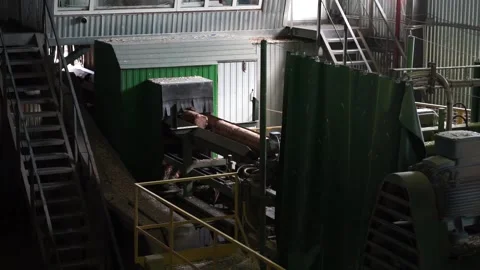 Logs go on the conveyor Stock Footage 145426946