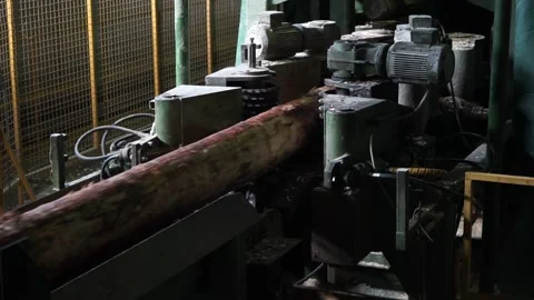 Logs go on the conveyor Stock Footage 145426963