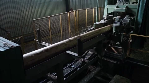 Logs go on the conveyor Stock Footage 145426964