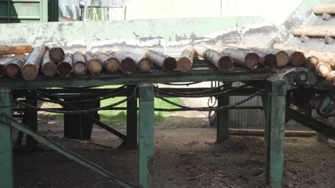 Logs go on the conveyor Stock Footage 159515710