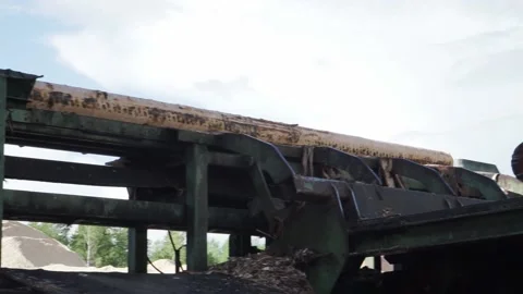 Logs go to the warehouse Stock Footage 145425334