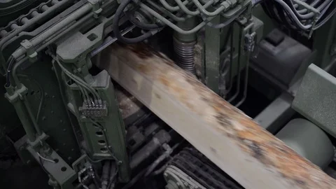Logs going through saw machine Vidéo 89435245