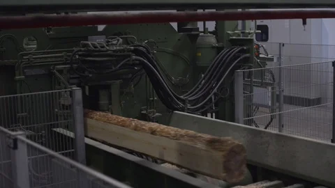Logs going through saw machine 動画素材 89435279