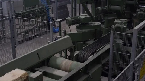 Logs going through saw machine Vidéo 89435410