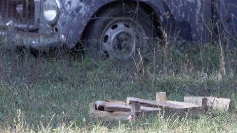 Logs on the ground Stock-Footage 119099455
