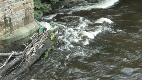 Logs Jammed on Bridge Stock Footage 79539766