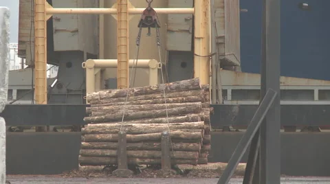 Logs lifted onto ship Stock Footage 1084675