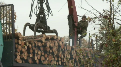 Logs load 5 스톡 동영상 789504