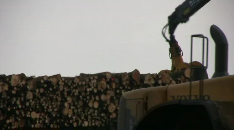 Logs loaded onto a ship Stock-Footage 563425
