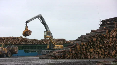 Logs loaded onto a ship Stock Footage 566616