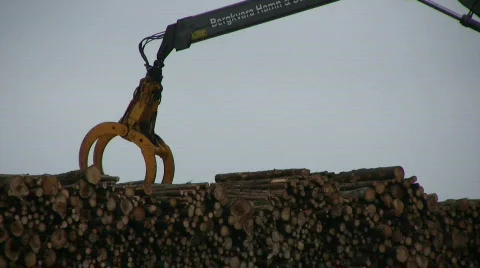 Logs loaded onto a ship Video stock 568037