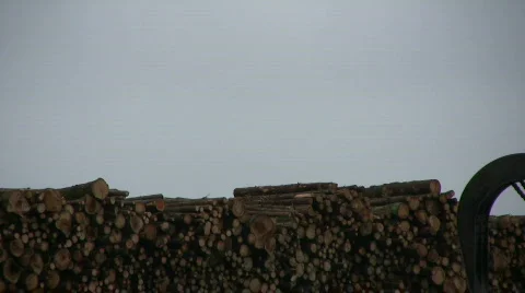Logs loaded onto a ship Stock-Footage 568085