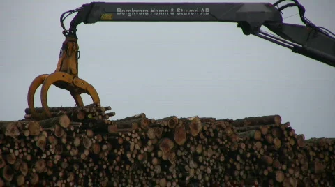 Logs loaded onto a ship Stock-Footage 568124