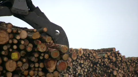 Logs loaded onto a ship Stock-Footage 568158