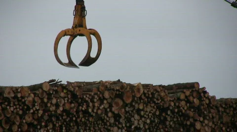 Logs loaded onto a ship Stock-Footage 568182