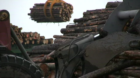 Logs loaded onto a ship Stock-Footage 599204