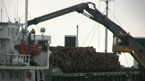 Logs loaded onto a ship Stock-Footage 599256