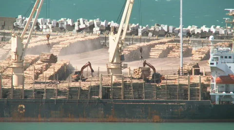 Logs loaded onto ship time lapse Stock Footage 559901