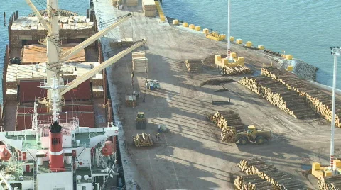 Logs loaded onto ship timelapse  Stock Footage 753991