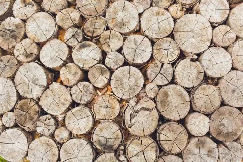 Logs. Log cuts Close Up. Stack of logs. Stack of firewood close up. Logs cuts Stockfoto's