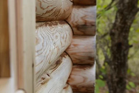 Logs of a log house made of pine for the construction of a wooden house. Th.. Stock Photos
